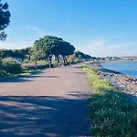 Au Bord De L Etang De Thau Marseillan