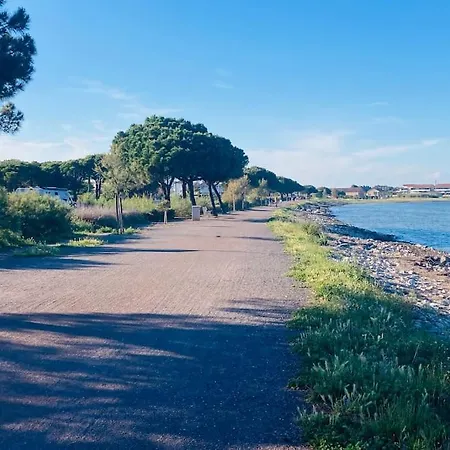 Au Bord De L Etang De Thau Marseillan (Herault)
