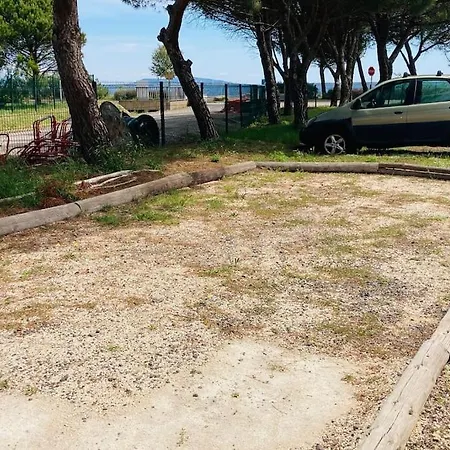Au Bord De L Etang De Thau Marseillan (Herault)